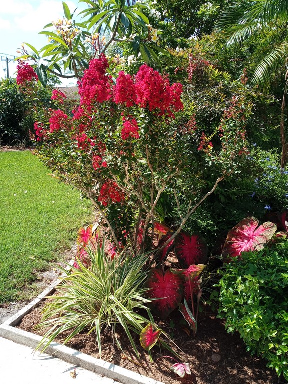 mulching