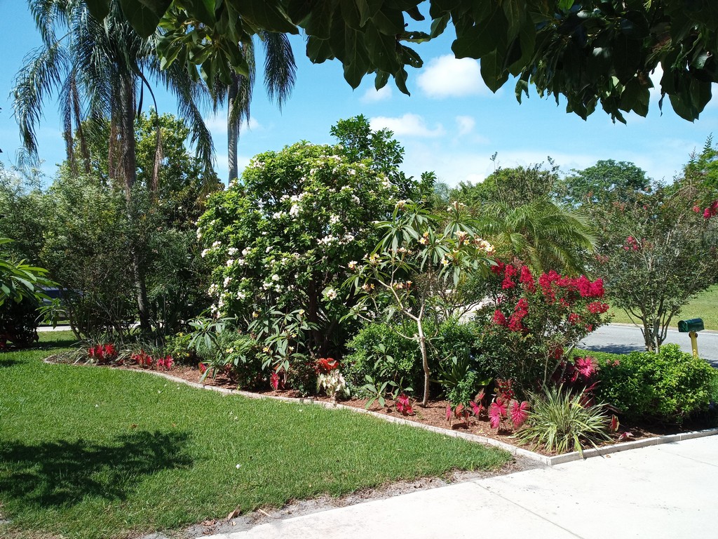 mulching