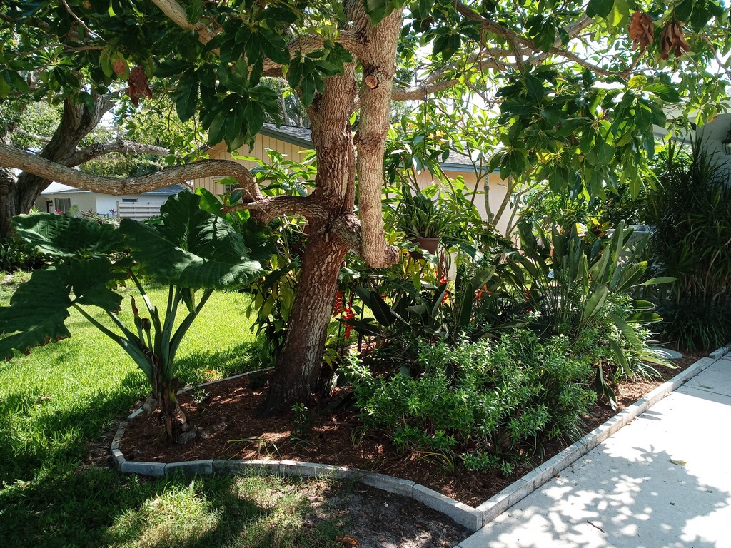 mulching