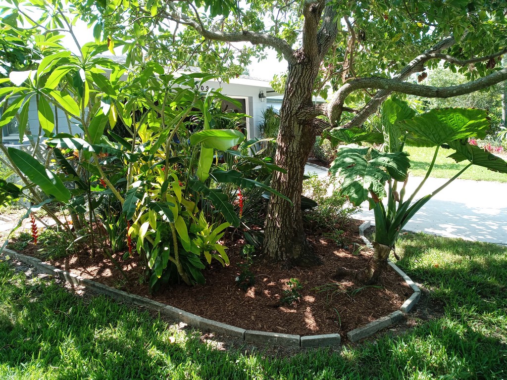 mulching