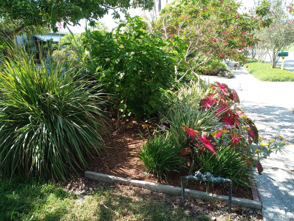 mulching
