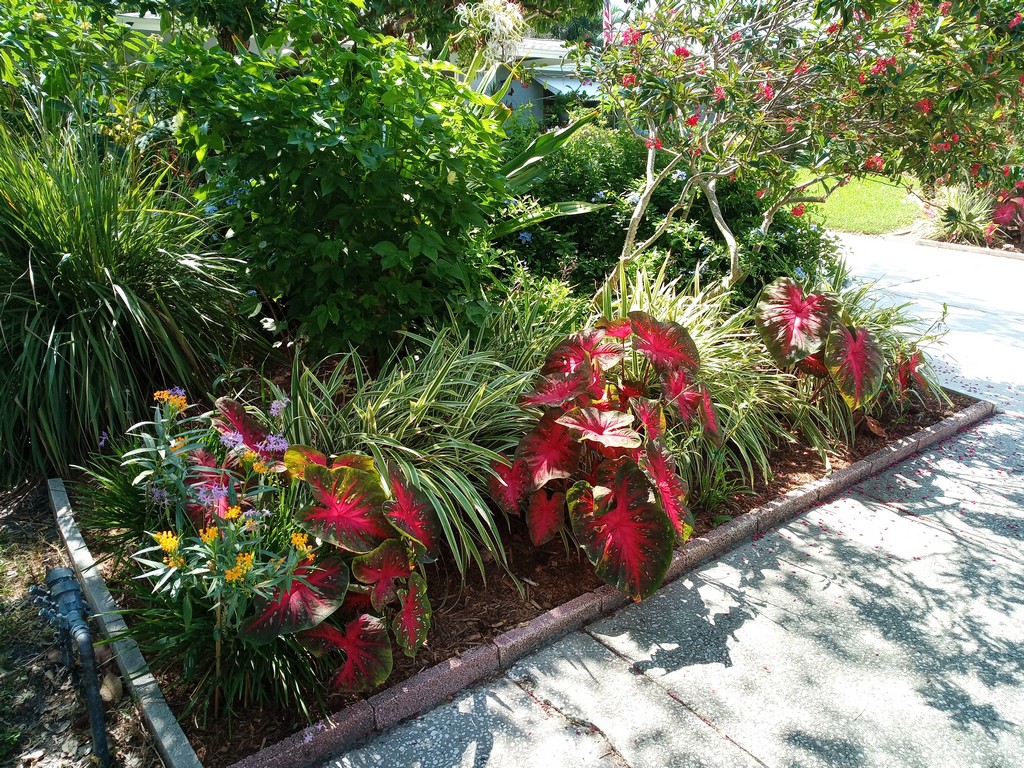 mulching