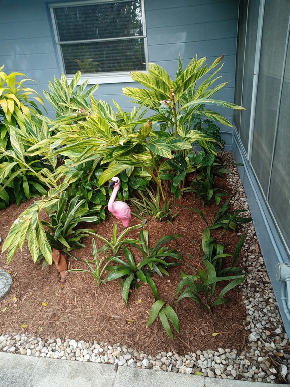 mulching