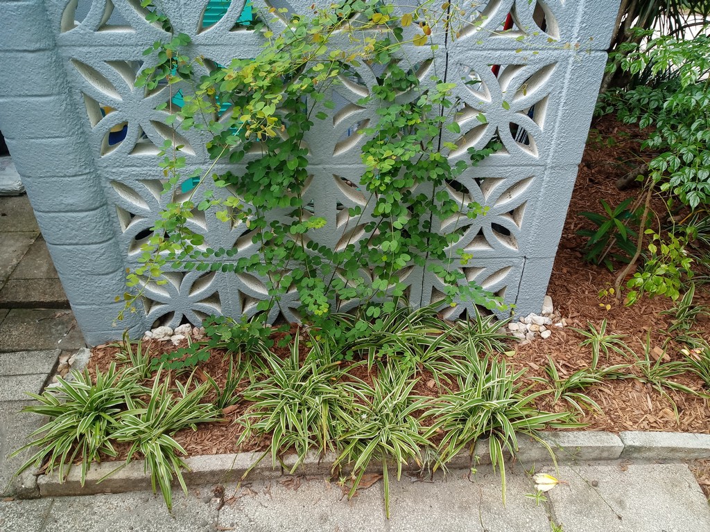 mulching