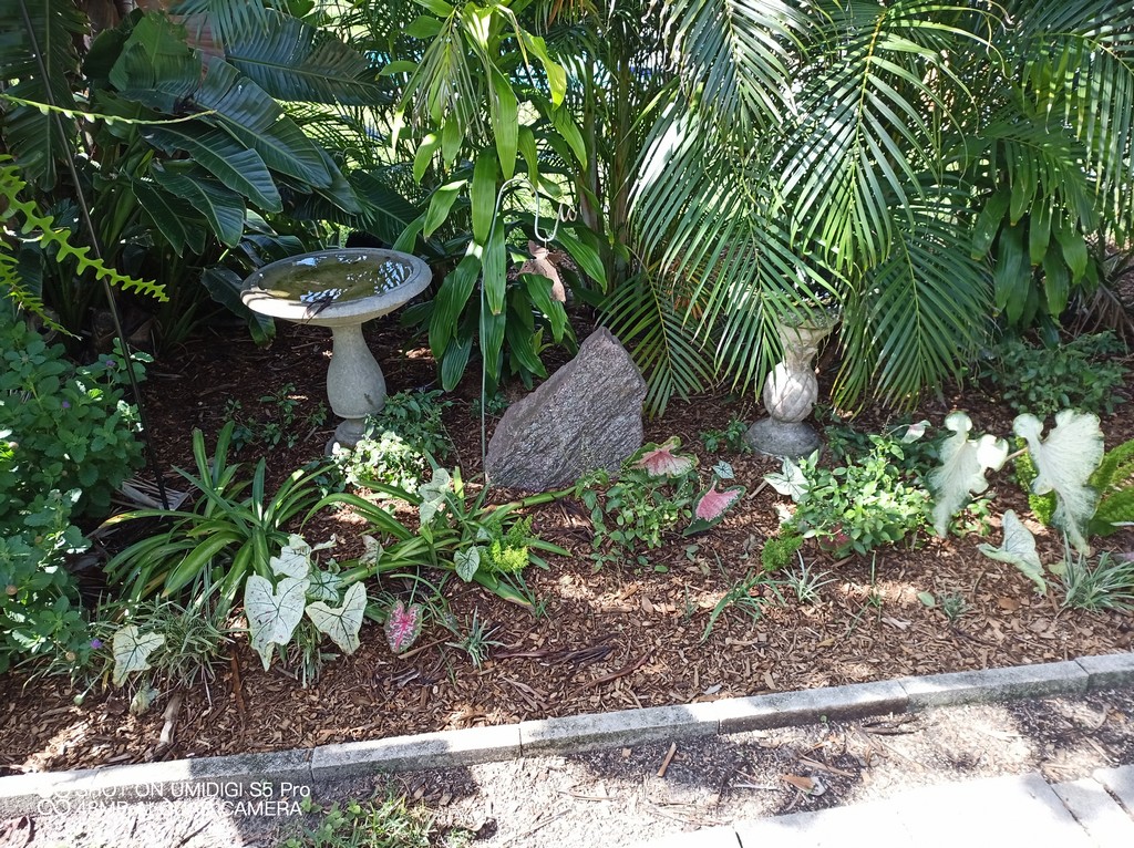 mulching