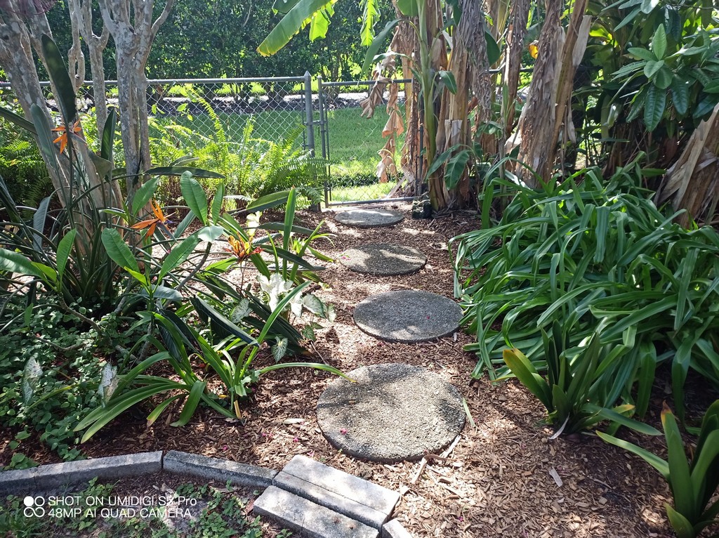 mulching