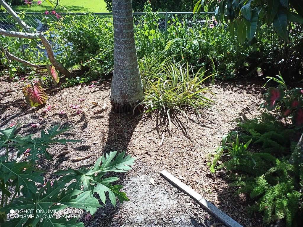 mulching