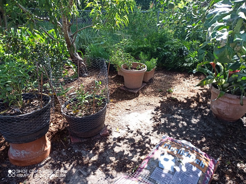 mulching