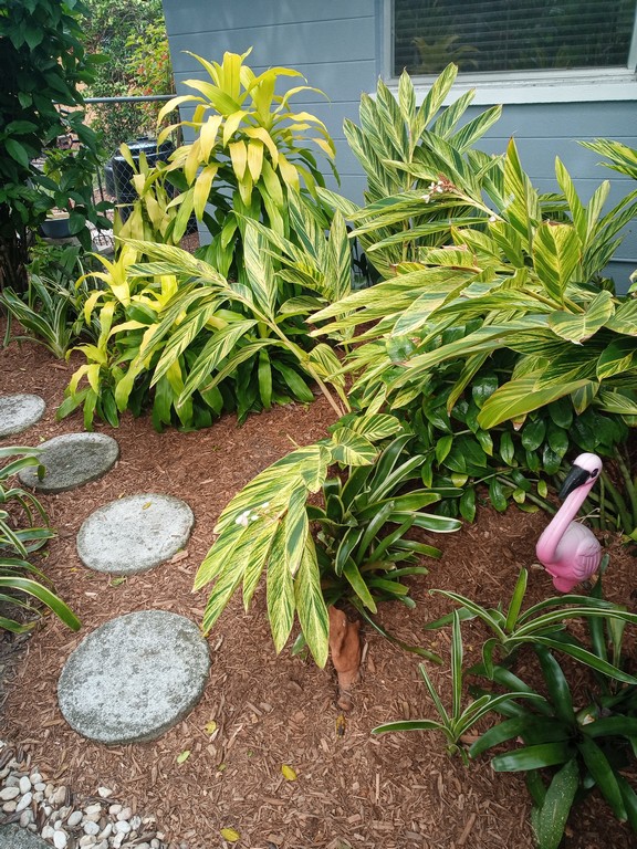 mulching