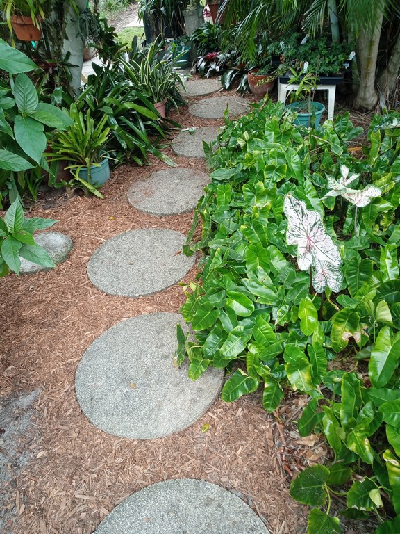 mulching