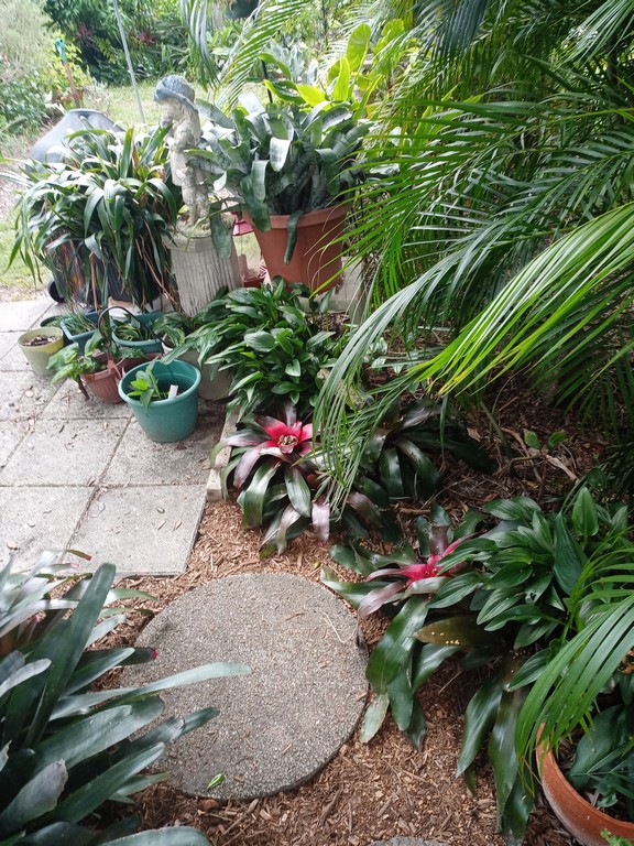 mulching