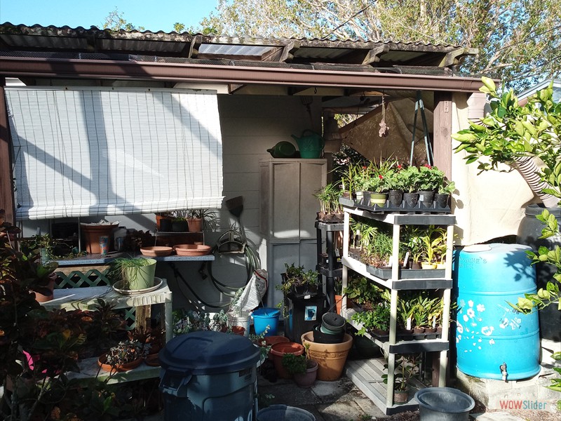 patGarden (6)